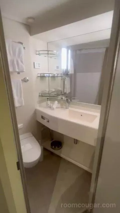 Inside Cabin bathroom picture #10