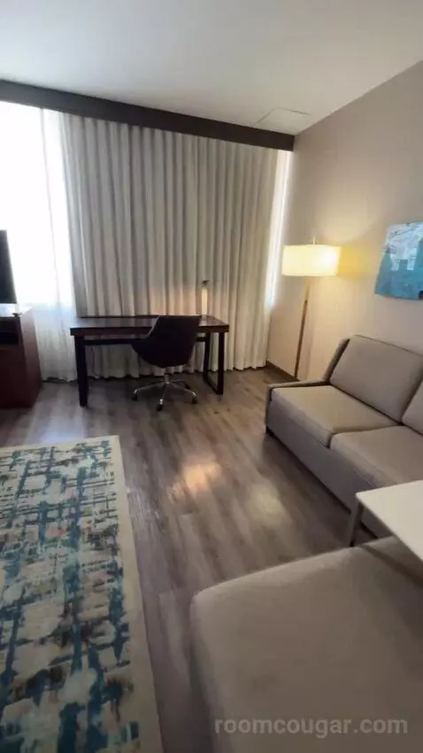 King Studio with Sofa Bed bed picture #1