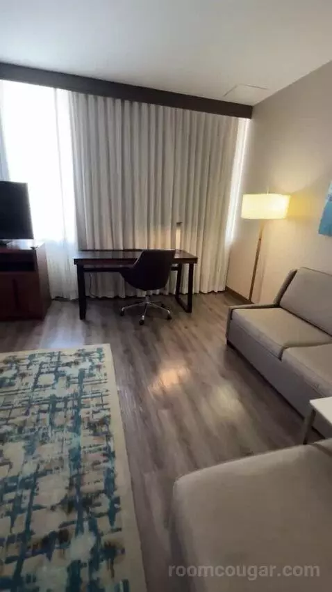 King Studio with Sofa Bed bed picture #2