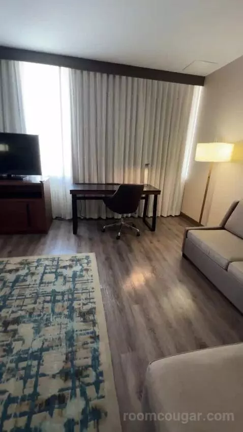 King Studio with Sofa Bed bed picture #3