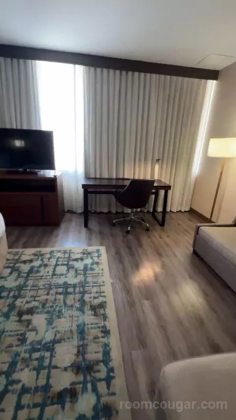 King Studio with Sofa Bed bed picture #4