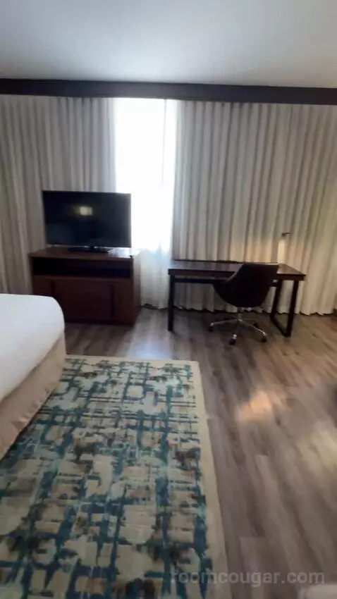 King Studio with Sofa Bed bed picture #6