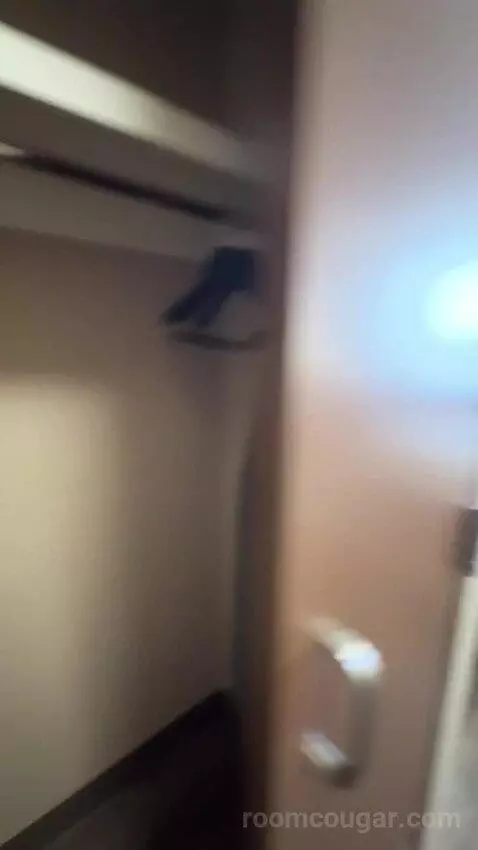 King Studio with Sofa Bed bed picture #7