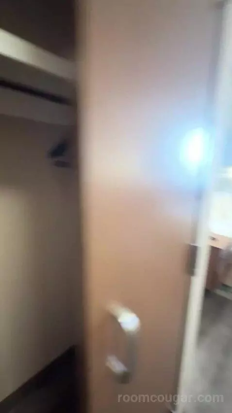 King Studio with Sofa Bed bed picture #8