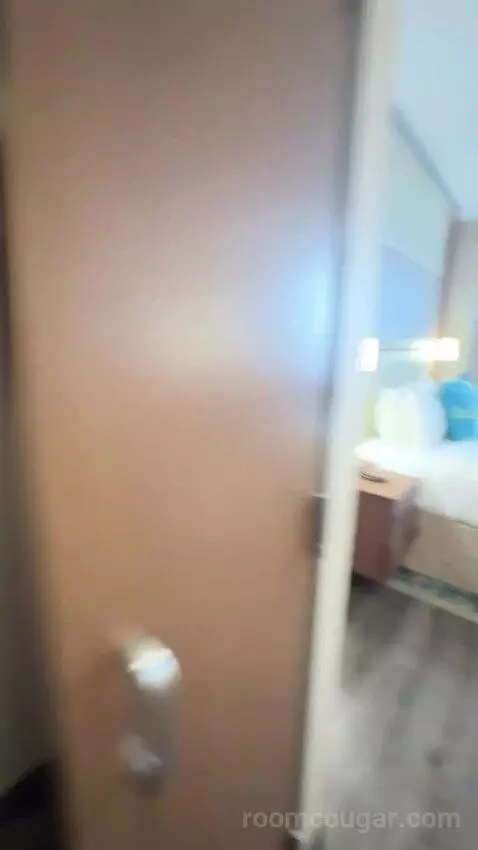 King Studio with Sofa Bed bed picture #9