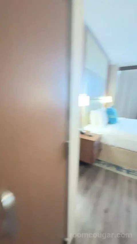 King Studio with Sofa Bed bed picture #10