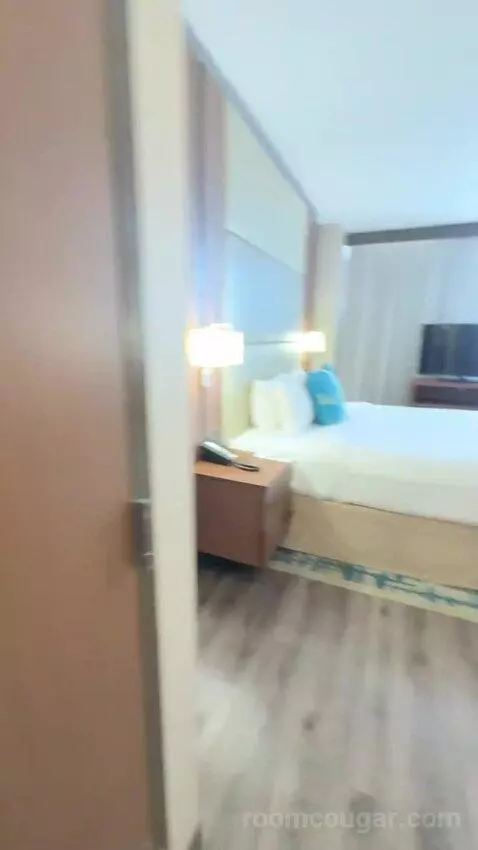 King Studio with Sofa Bed bed picture #11