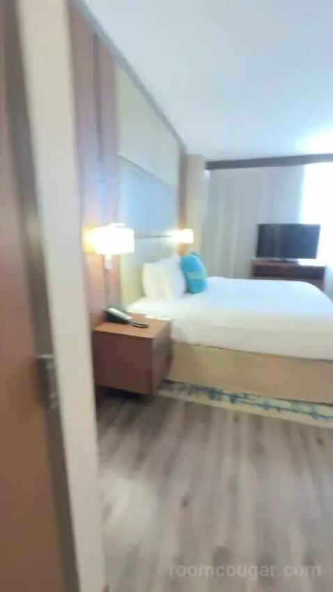 King Studio with Sofa Bed bed picture #12