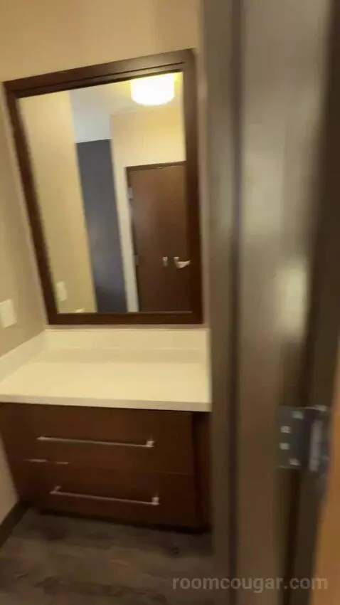 King Studio with Sofa Bed bathroom picture #3