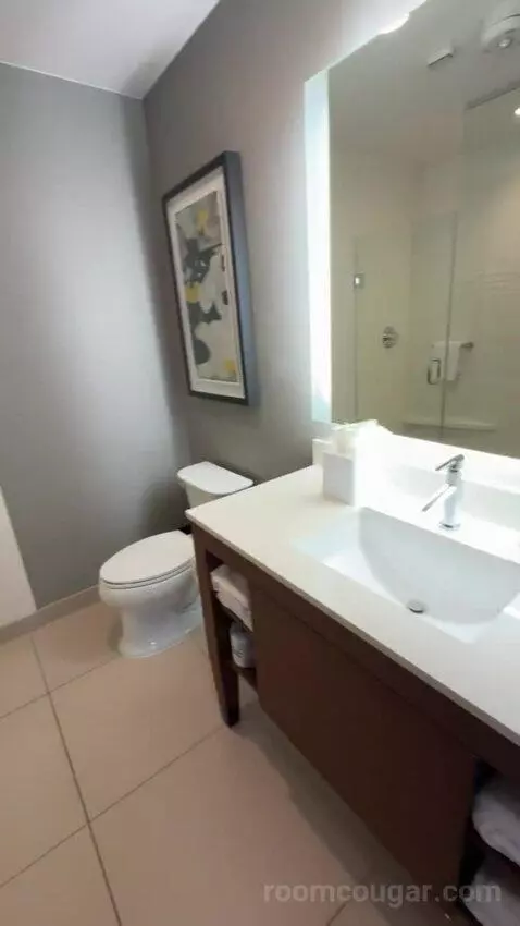 King Studio with Sofa Bed bathroom picture #4