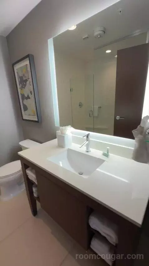 King Studio with Sofa Bed bathroom picture #5