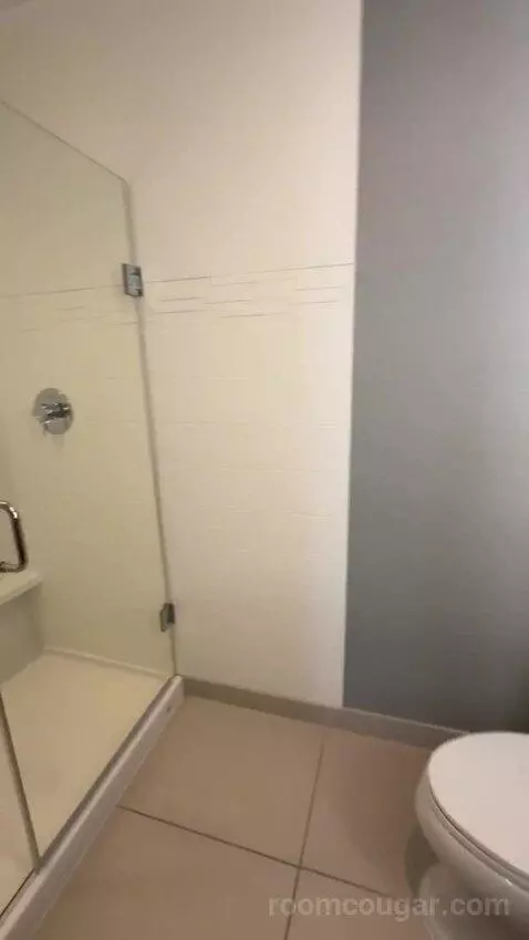 King Studio with Sofa Bed bathroom picture #6