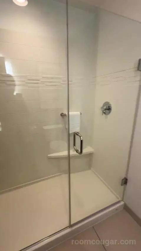 King Studio with Sofa Bed bathroom picture #7