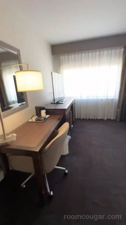 King Studio Suite bed picture #1