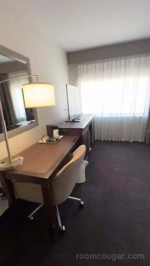 King Studio Suite bed picture #2