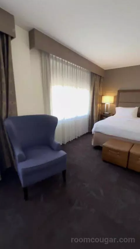 King Studio Suite bed picture #5