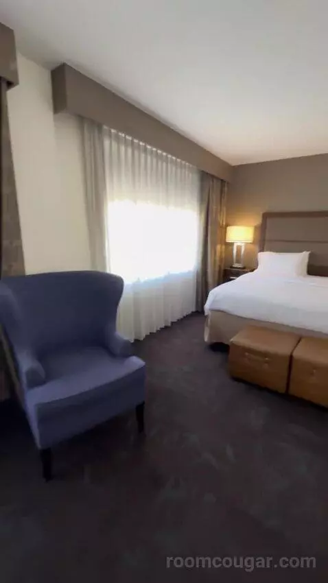 King Studio Suite bed picture #6