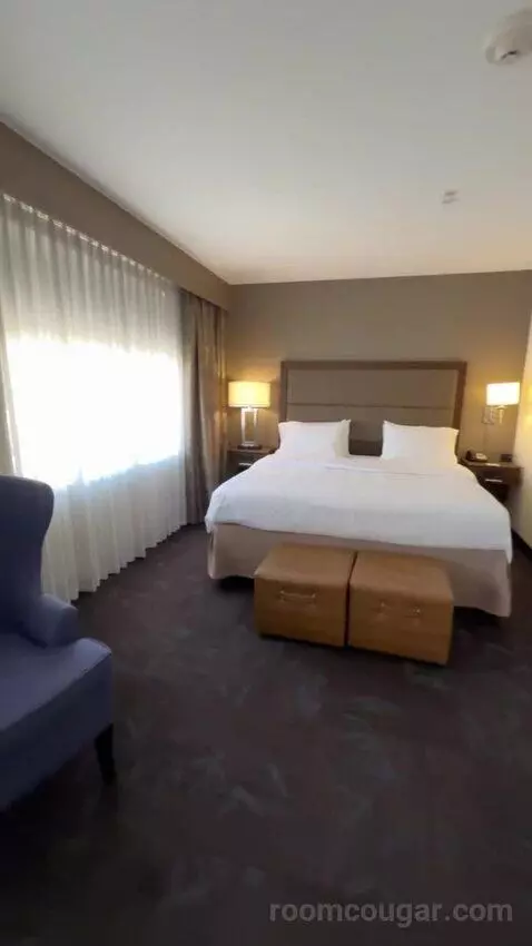 King Studio Suite bed picture #7