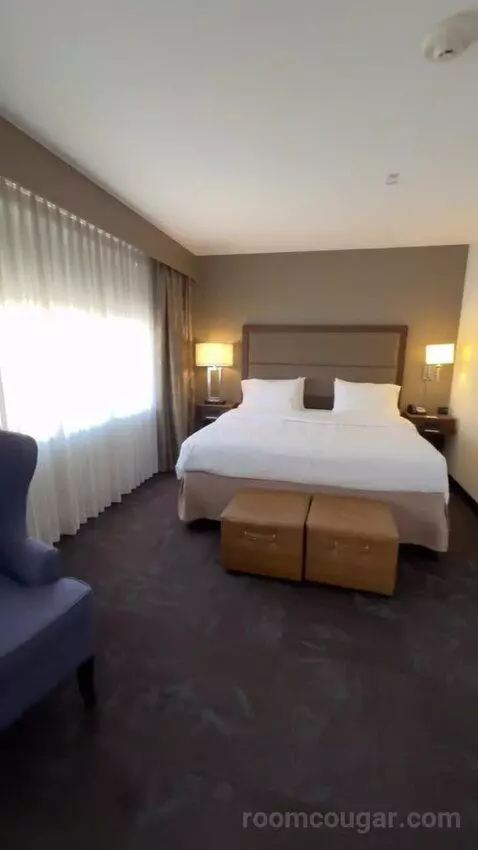 King Studio Suite bed picture #8