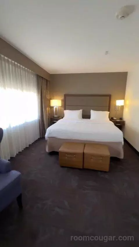King Studio Suite bed picture #9