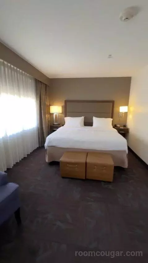 King Studio Suite bed picture #10
