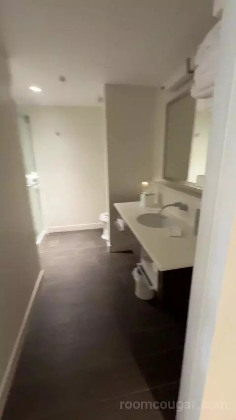 King Studio Suite bathroom picture #2