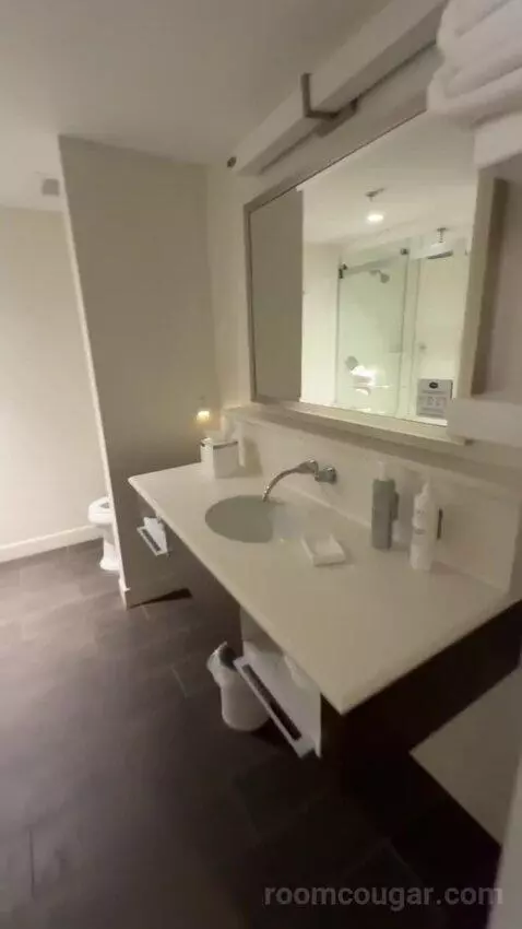 King Studio Suite bathroom picture #3
