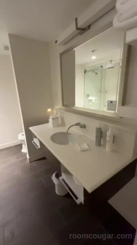 King Studio Suite bathroom picture #4