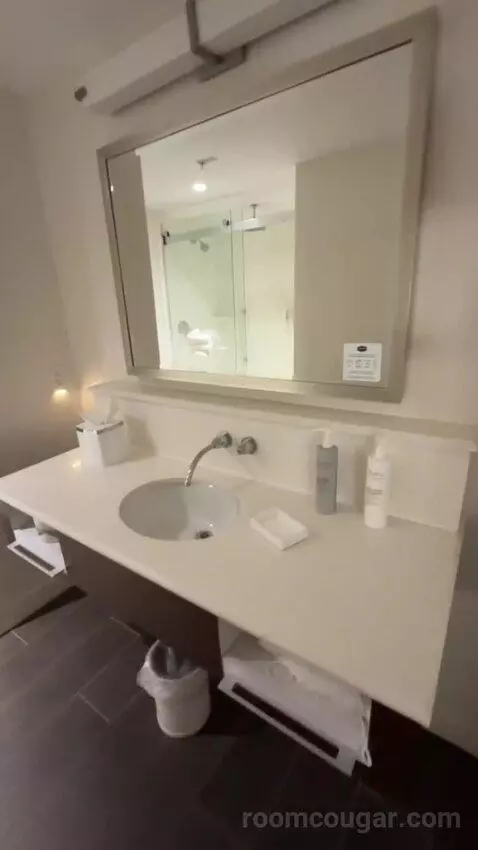 King Studio Suite bathroom picture #5