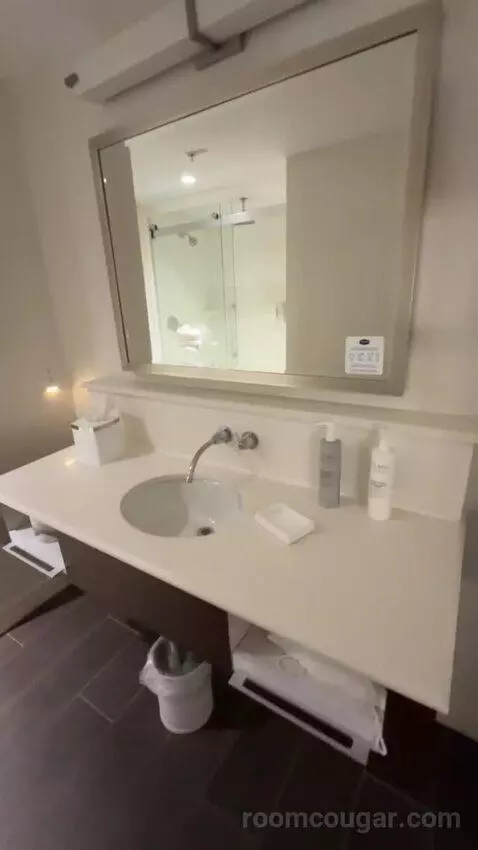 King Studio Suite bathroom picture #6