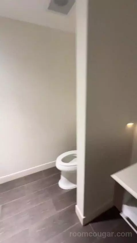 King Studio Suite bathroom picture #10