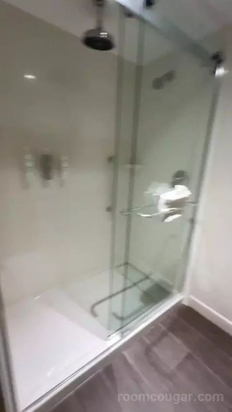 King Studio Suite bathroom picture #11