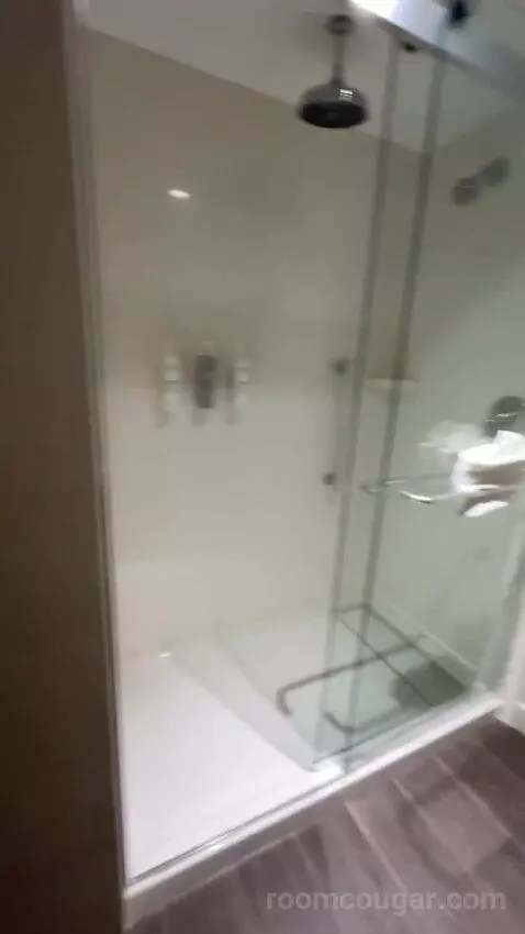 King Studio Suite bathroom picture #12