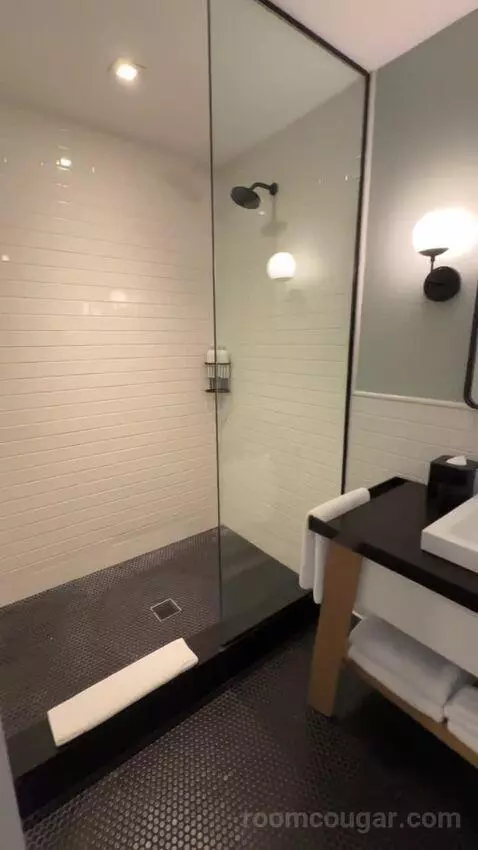 Essential King Room bathroom picture #5