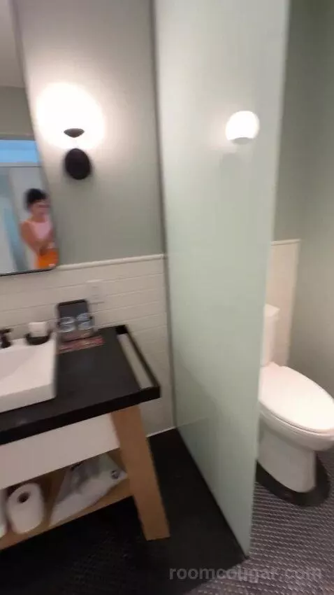 Essential King Room bathroom picture #11