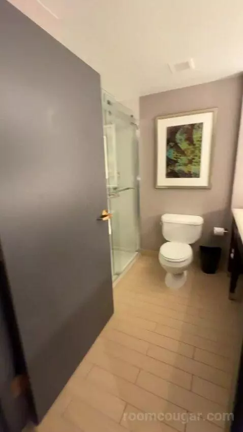 Executive Suite, 1 King Bed, Sofa Bed bathroom picture #3