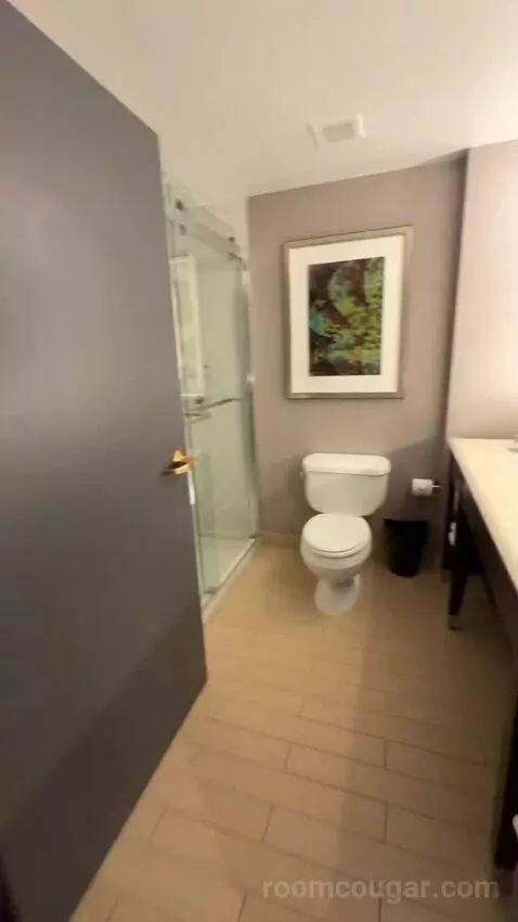Executive Suite, 1 King Bed, Sofa Bed bathroom picture #4