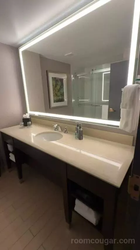Executive Suite, 1 King Bed, Sofa Bed bathroom picture #6