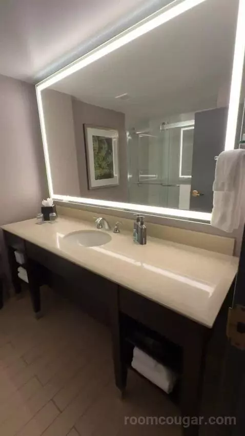 Executive Suite, 1 King Bed, Sofa Bed bathroom picture #7