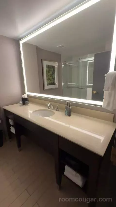 Executive Suite, 1 King Bed, Sofa Bed bathroom picture #8