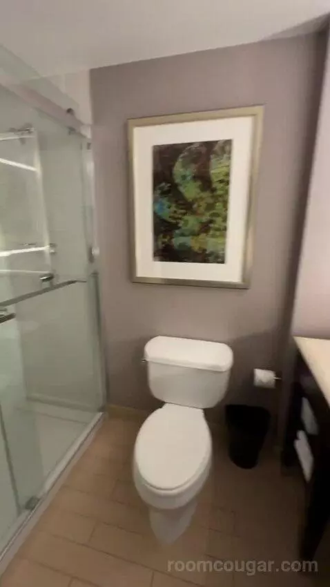 Executive Suite, 1 King Bed, Sofa Bed bathroom picture #10