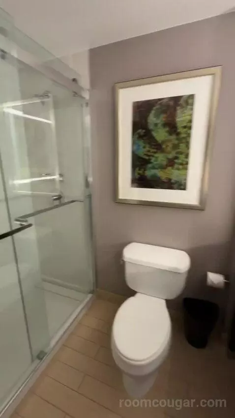 Executive Suite, 1 King Bed, Sofa Bed bathroom picture #11