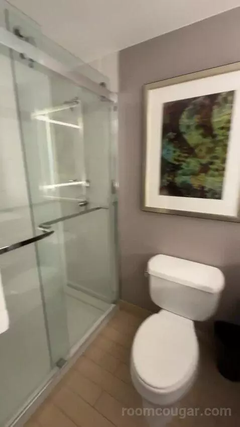 Executive Suite, 1 King Bed, Sofa Bed bathroom picture #12
