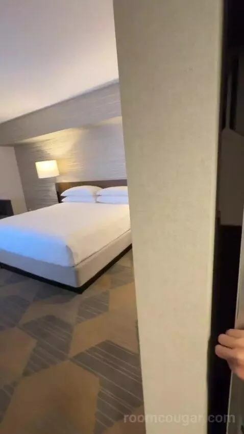 Executive Suite, 1 King Bed, Sofa Bed bed picture #1