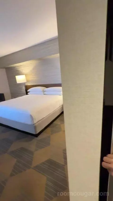 Executive Suite, 1 King Bed, Sofa Bed bed picture #2