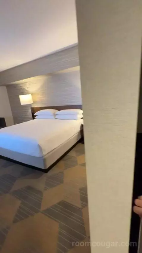 Executive Suite, 1 King Bed, Sofa Bed bed picture #3