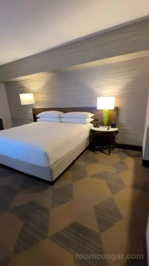 Executive Suite, 1 King Bed, Sofa Bed bed picture #4