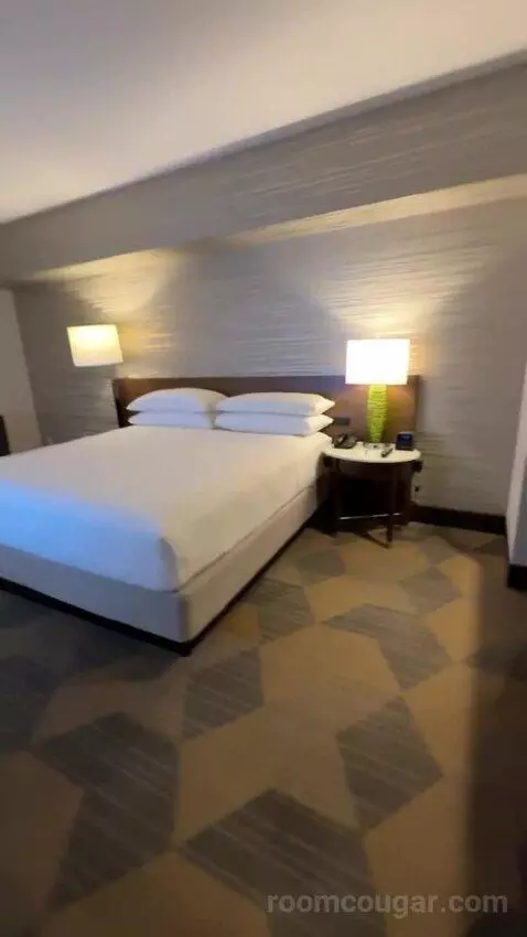 Executive Suite, 1 King Bed, Sofa Bed bed picture #5