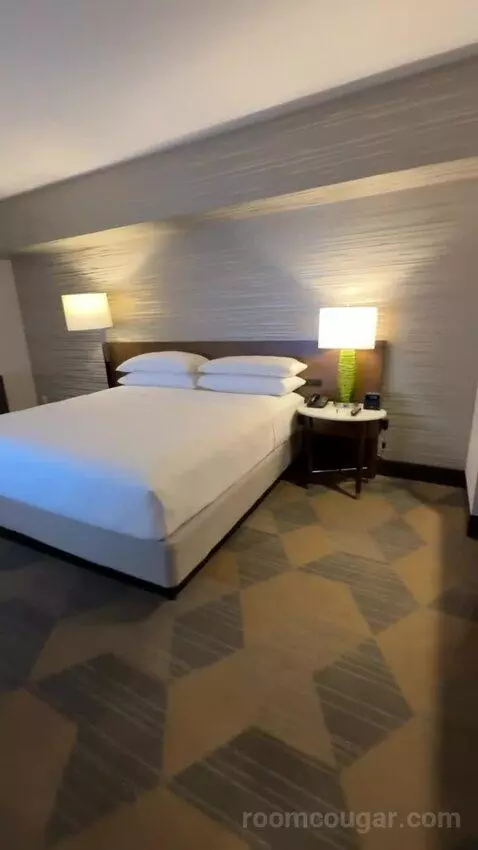 Executive Suite, 1 King Bed, Sofa Bed bed picture #6