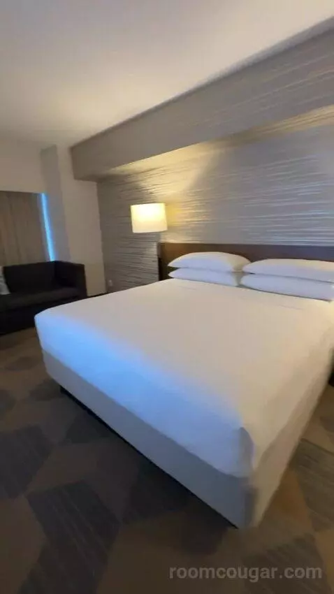Executive Suite, 1 King Bed, Sofa Bed bed picture #7
